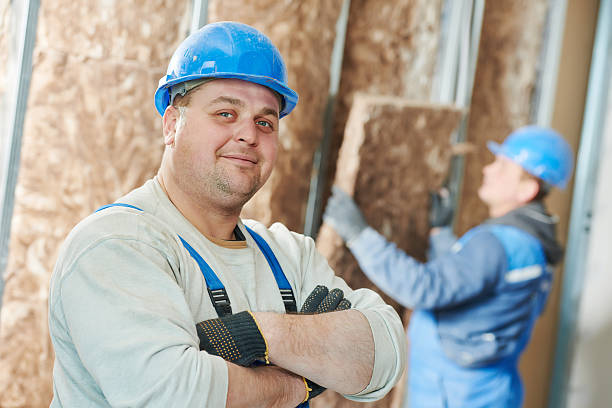 Best Types of Insulation in The Meadows, FL